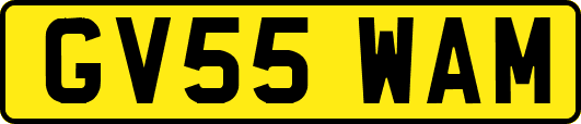 GV55WAM