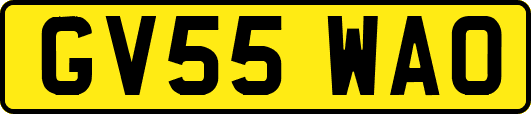 GV55WAO