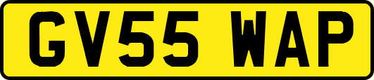 GV55WAP