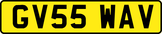 GV55WAV