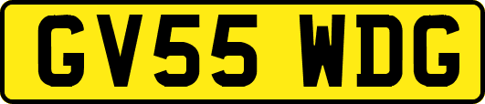 GV55WDG