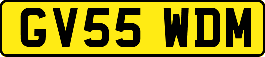 GV55WDM