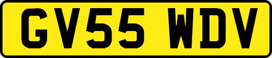 GV55WDV