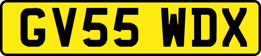 GV55WDX