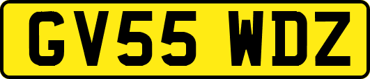GV55WDZ