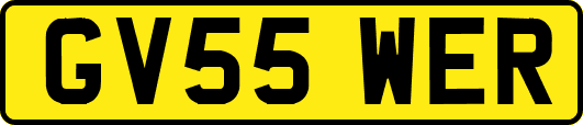 GV55WER