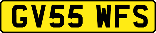 GV55WFS