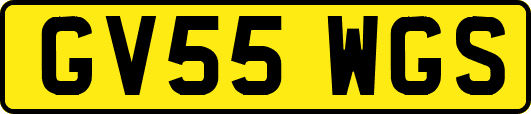 GV55WGS