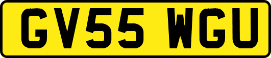 GV55WGU