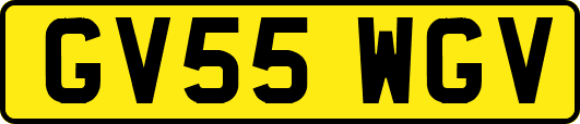 GV55WGV