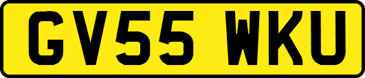 GV55WKU