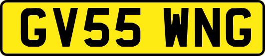 GV55WNG