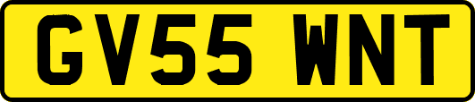 GV55WNT