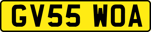GV55WOA