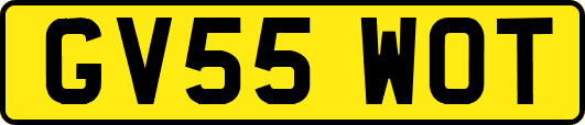 GV55WOT
