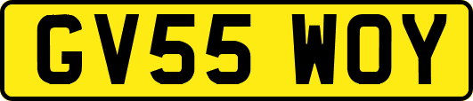 GV55WOY