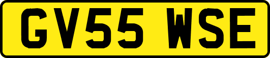 GV55WSE