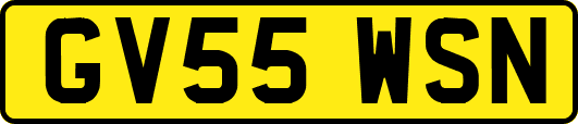 GV55WSN