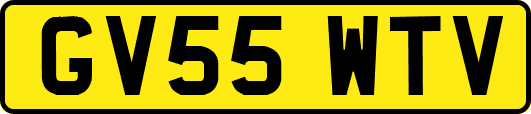 GV55WTV