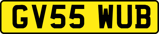 GV55WUB