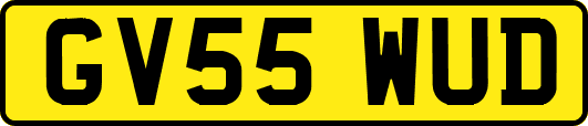 GV55WUD