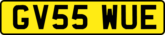 GV55WUE