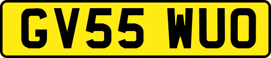 GV55WUO