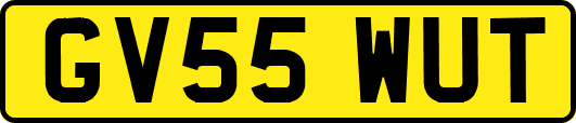 GV55WUT