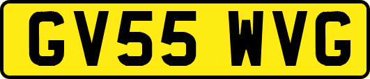 GV55WVG