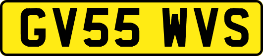 GV55WVS