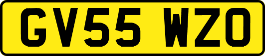 GV55WZO