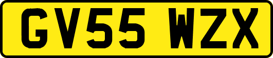 GV55WZX