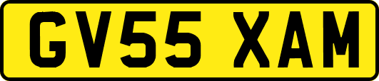 GV55XAM