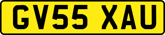 GV55XAU
