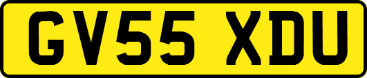 GV55XDU