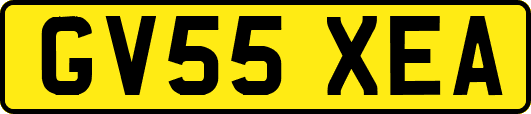 GV55XEA