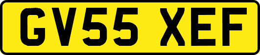 GV55XEF