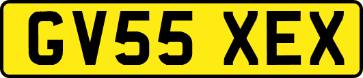 GV55XEX