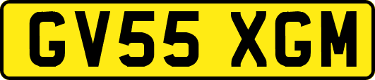 GV55XGM
