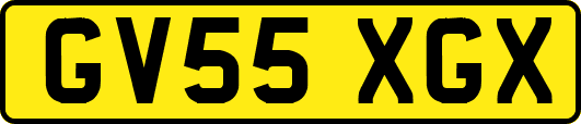 GV55XGX