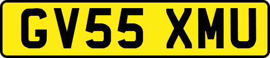 GV55XMU