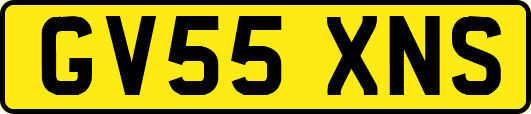 GV55XNS