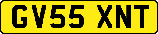 GV55XNT