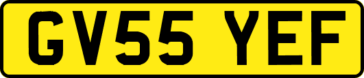GV55YEF