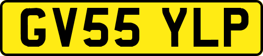 GV55YLP
