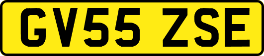 GV55ZSE
