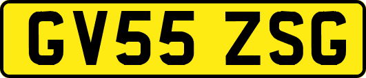 GV55ZSG
