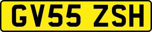 GV55ZSH