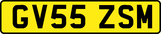 GV55ZSM