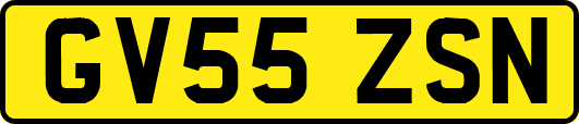 GV55ZSN